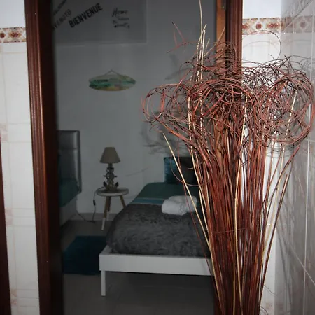 Flor T1 * Nazaré