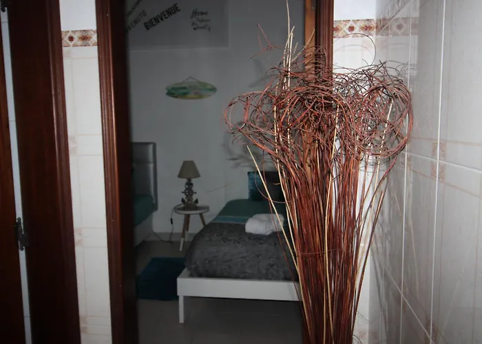 Flor T1 * Nazaré